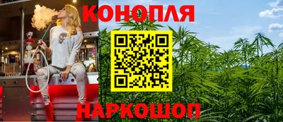 стафф Новокубанск